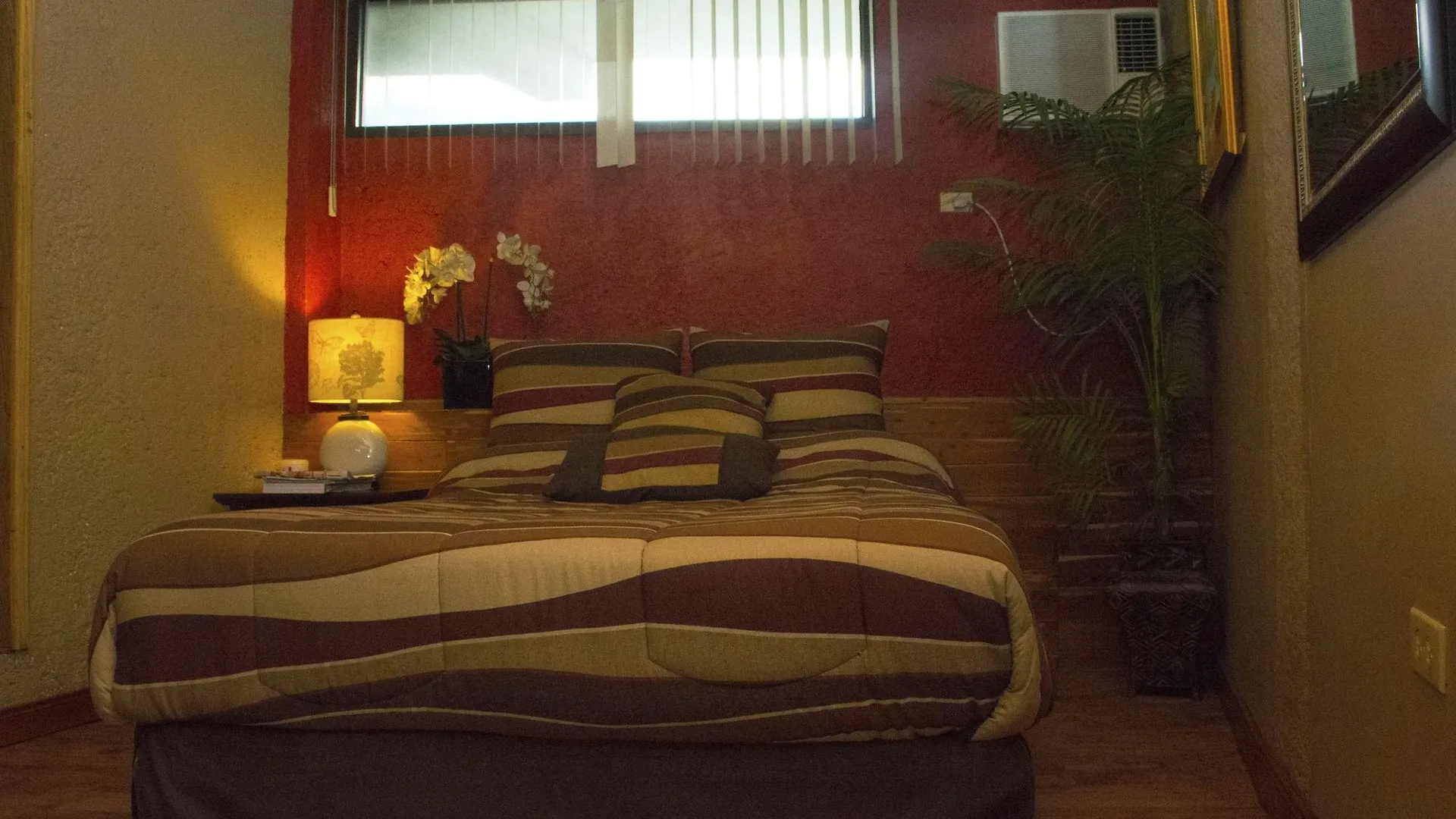 מלון Pétionville B&B Comfy Inn