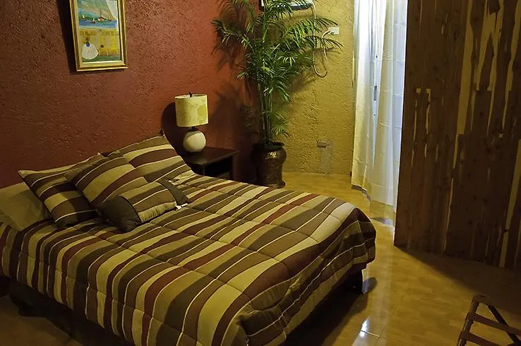 ** מלון Pétionville B&B Comfy Inn האיטי